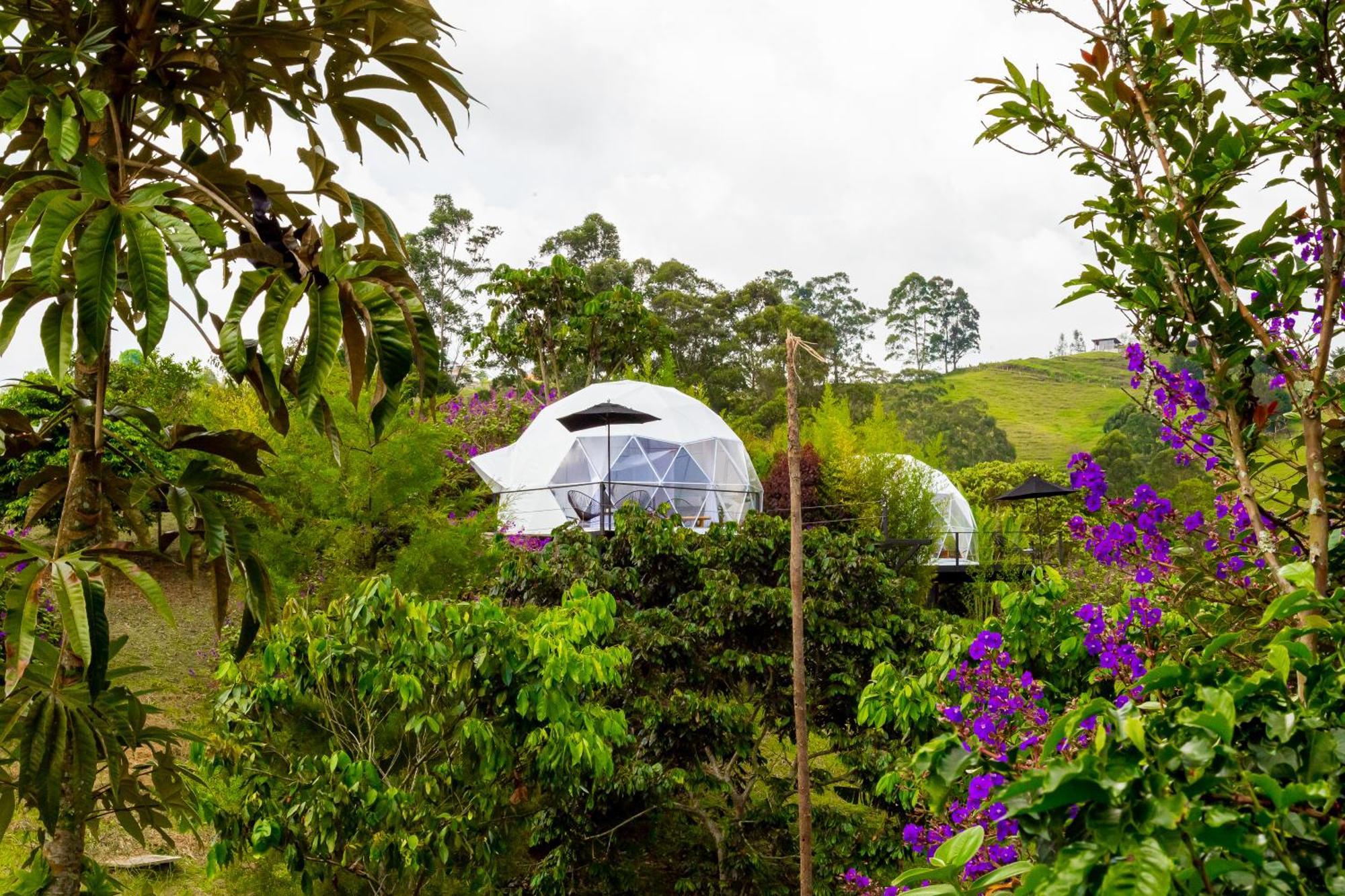 Ecohotel Monte Tierra Habitaciones Y Glamping Filandia Szoba fotó